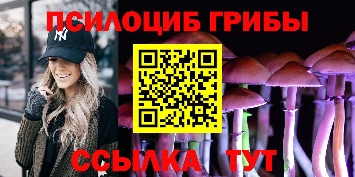 Псилоцибиновые грибы мицелий Югорск
