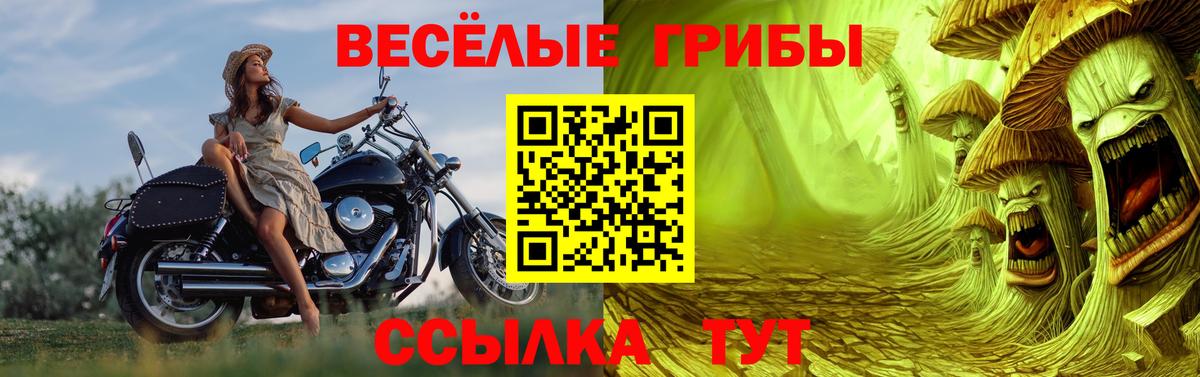 Псилоцибиновые грибы MAGIC MUSHROOMS  Вход с VPN  Югорск 